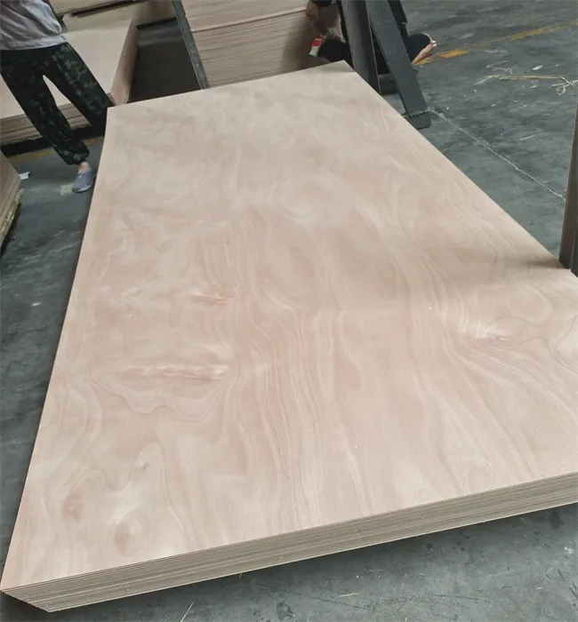OKOUME PLYWOOD  (265)