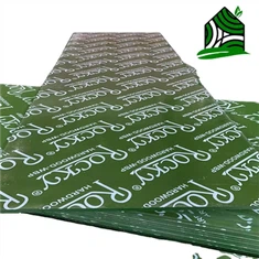 Hoja de madera contrachapada marina de plástico verde PP PP