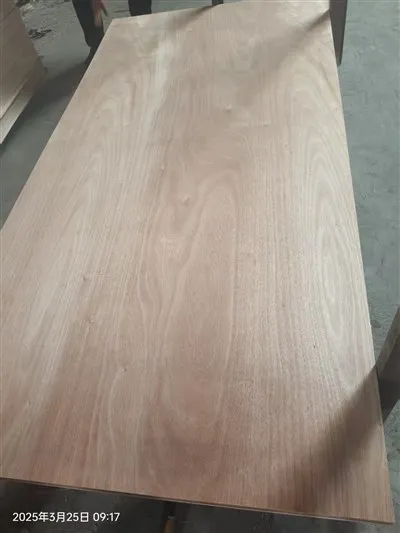 Venta caliente Comercial madera contrachapada Okoume\/sapele\/bintangor\/roble